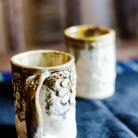 Appartement Lapmanni *