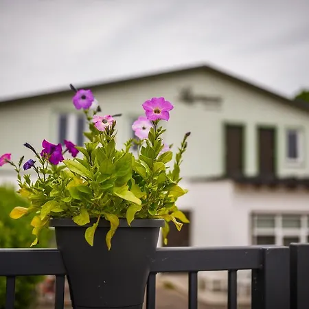 Appartement Lapmanni *